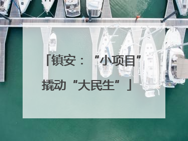 镇安：“小项目”撬动“大民生”