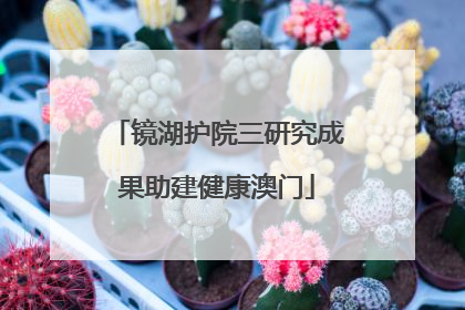 镜湖护院三研究成果助建健康澳门