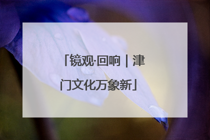 镜观·回响｜津门文化万象新