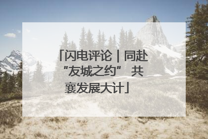 闪电评论｜同赴“友城之约” 共襄发展大计
