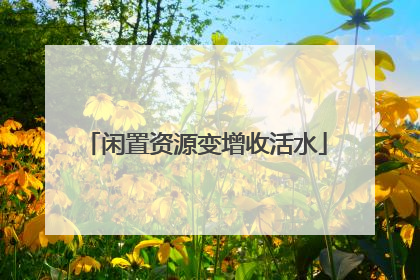 闲置资源变增收活水