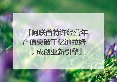 阿联酋特许经营年产值突破千亿迪拉姆，成创业新引擎