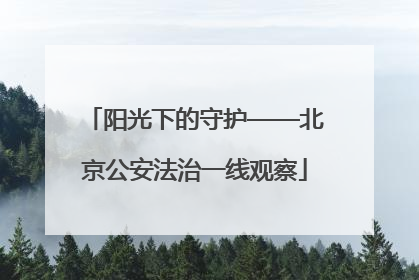阳光下的守护——北京公安法治一线观察