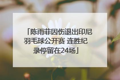 陈雨菲因伤退出印尼羽毛球公开赛 连胜纪录停留在24场