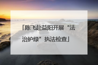 陈飞赴益阳开展“法治护绿”执法检查