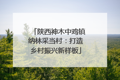 陕西神木中鸡镇纳林采当村：打造乡村振兴新样板
