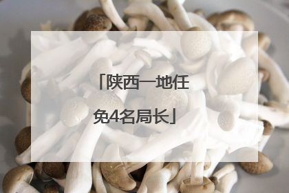 陕西一地任免4名局长