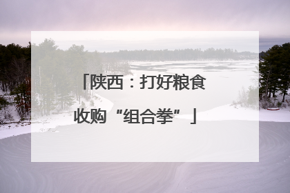 陕西：打好粮食收购“组合拳”