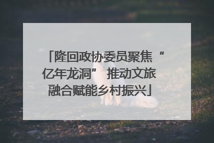 隆回政协委员聚焦“亿年龙洞” 推动文旅融合赋能乡村振兴