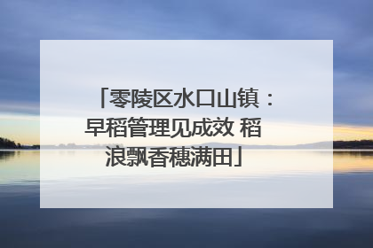 零陵区水口山镇：早稻管理见成效 稻浪飘香穗满田