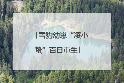 雪豹幼崽“凌小蛰”百日重生