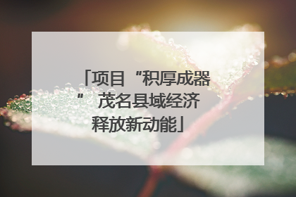 项目“积厚成器” 茂名县域经济释放新动能