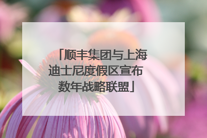 顺丰集团与上海迪士尼度假区宣布数年战略联盟