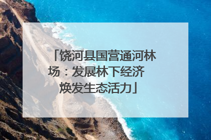 饶河县国营通河林场：发展林下经济 焕发生态活力