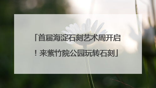 首届海淀石刻艺术周开启！来紫竹院公园玩转石刻