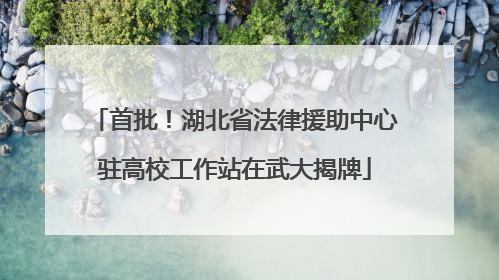 首批！湖北省法律援助中心驻高校工作站在武大揭牌