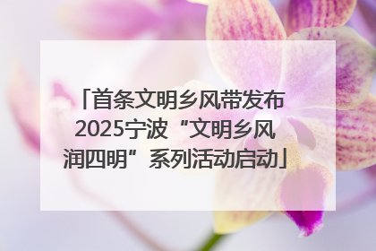 首条文明乡风带发布 2025宁波“文明乡风润四明”系列活动启动
