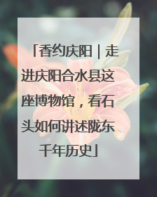 香约庆阳｜走进庆阳合水县这座博物馆，看石头如何讲述陇东千年历史
