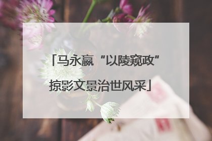 马永嬴“以陵窥政” 掠影文景治世风采