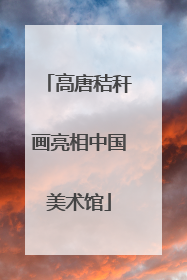 高唐秸秆画亮相中国美术馆