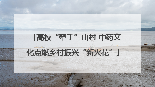 高校“牵手”山村 中药文化点燃乡村振兴“新火花”