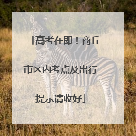 高考在即！商丘市区内考点及出行提示请收好
