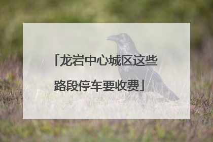 龙岩中心城区这些路段停车要收费