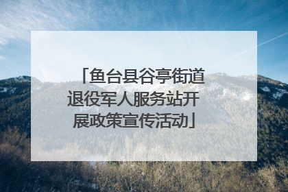 鱼台县谷亭街道退役军人服务站开展政策宣传活动