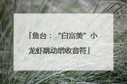 鱼台：“白富美”小龙虾跳动增收音符