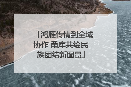 鸿雁传情到全域协作 甬库共绘民族团结新图景