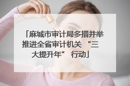 麻城市审计局多措并举推进全省审计机关 “三大提升年” 行动