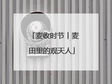 麦收时节丨麦田里的观天人