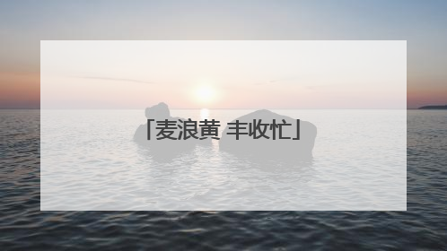 麦浪黄 丰收忙