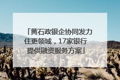 黄石政银企协同发力住更领域，17家银行提供融资服务方案