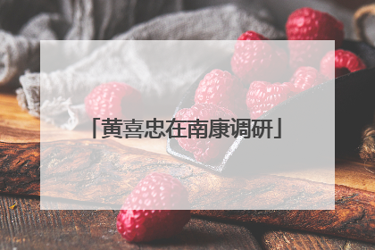 黄喜忠在南康调研