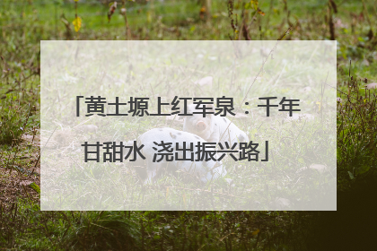 黄土塬上红军泉：千年甘甜水 浇出振兴路