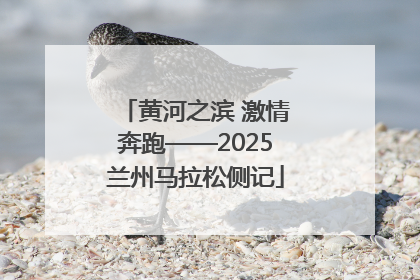 黄河之滨 激情奔跑——2025兰州马拉松侧记