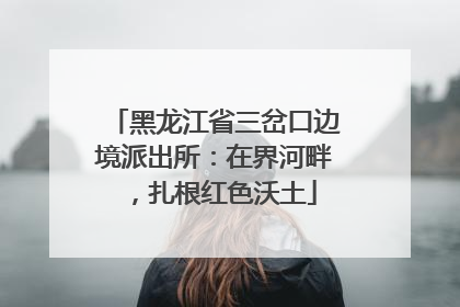 黑龙江省三岔口边境派出所：在界河畔，扎根红色沃土