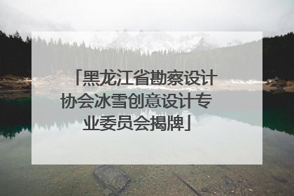 黑龙江省勘察设计协会冰雪创意设计专业委员会揭牌