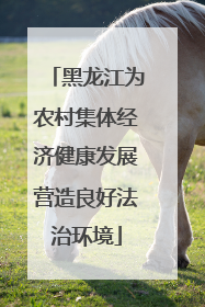 黑龙江为农村集体经济健康发展营造良好法治环境