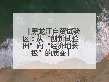 黑龙江自贸试验区：从“创新试验田”向“经济增长极”的质变