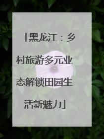 黑龙江：乡村旅游多元业态解锁田园生活新魅力