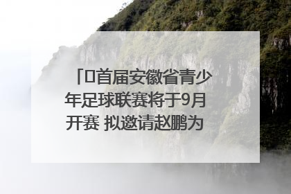 ﻿首届安徽省青少年足球联赛将于9月开赛 拟邀请赵鹏为先导赛开球