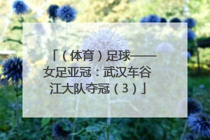 （体育）足球——女足亚冠：武汉车谷江大队夺冠（3）