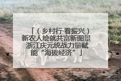 （乡村行·看振兴）新农人绘就共富新图景 浙江庆元统战力量赋能“海拔经济”