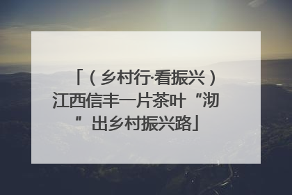 （乡村行·看振兴）江西信丰一片茶叶“沏”出乡村振兴路