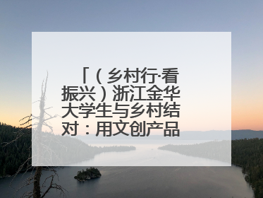 （乡村行·看振兴）浙江金华大学生与乡村结对：用文创产品赋能乡村振兴