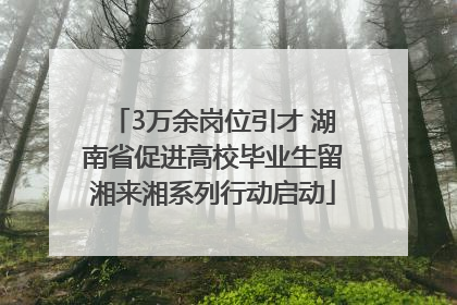 3万余岗位引才 湖南省促进高校毕业生留湘来湘系列行动启动