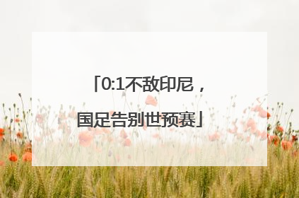 0:1不敌印尼，国足告别世预赛