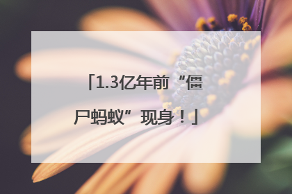 1.3亿年前“僵尸蚂蚁”现身！